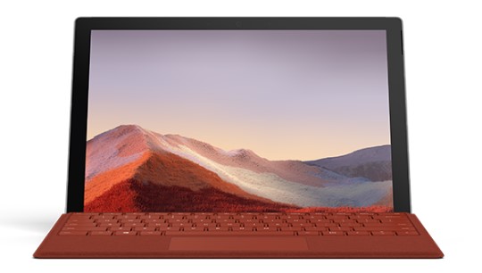龙河镇清洁和维护 Surface